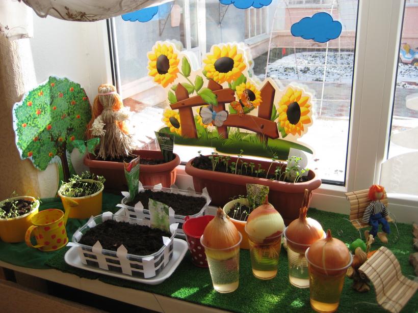 Огород в доу отчет. Огород на окне. Огород на окне в детском саду. Огород на подоконнике украшения. Огород ЕС окне в детскои саду.